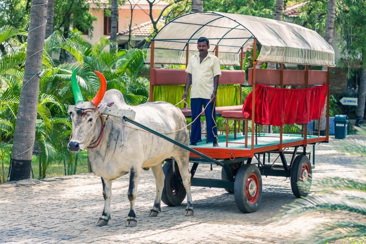 Esthell Village Resort Mahabalipuram Zewnętrze zdjęcie